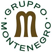 Grupo Montenegro